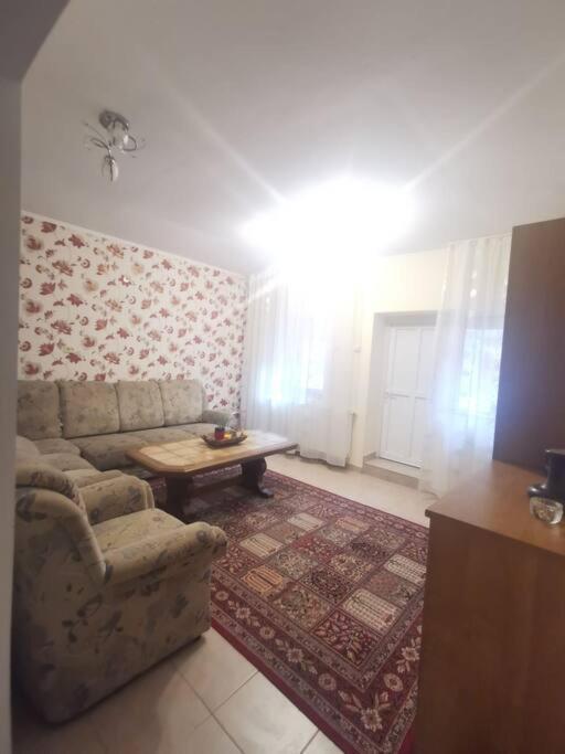 Tth Apartament Timişoara Exterior foto